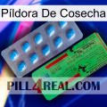 Píldora De Cosecha new03